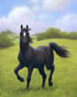 Black Beauty (Scholastic)